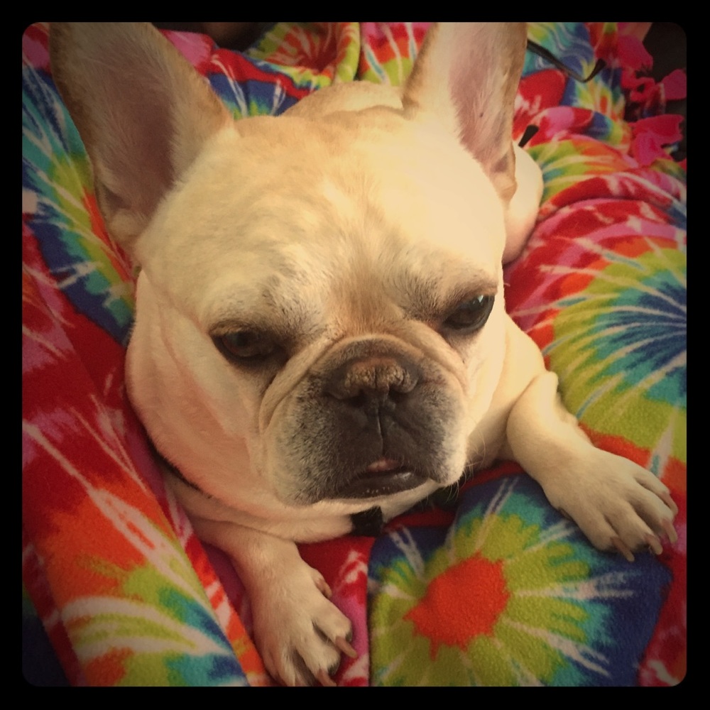 Meet your Posher, Kim